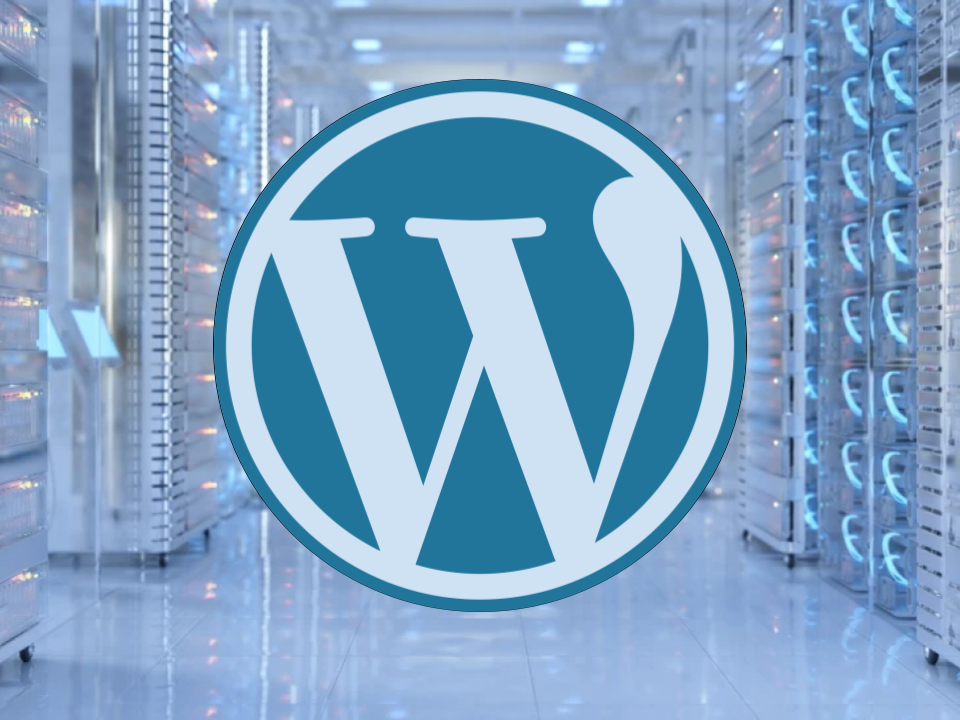 Best WordPress Hosting Providers (2023-2024)